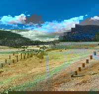 Blackwood River Tourist Drive - Accommodation Newcastle
