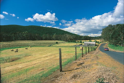 Blackwood River Tourist Drive - Accommodation Newcastle 0