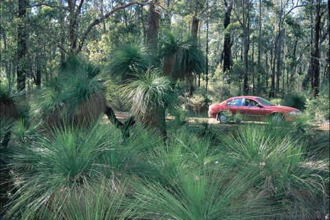 Blackwood River Tourist Drive - Accommodation Newcastle 2