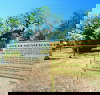 Boab Prison Tree - Accommodation Newcastle