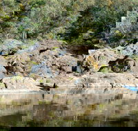 Boonoo Boonoo National Park - Accommodation Newcastle