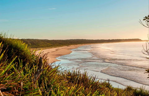 Burrawang Track - Conjola Beach To Buckleys Point - Accommodation Newcastle 0