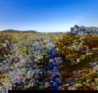 Capricorn Coast Pineapple Rail Trail - Accommodation Newcastle