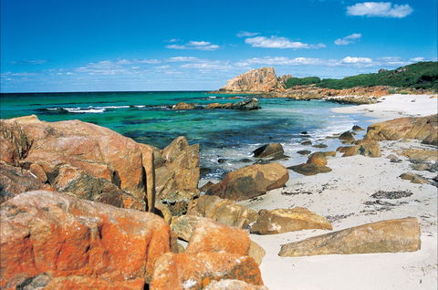 Castle Bay - Accommodation Newcastle 0