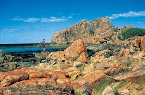 Castle Bay - Accommodation Newcastle 1