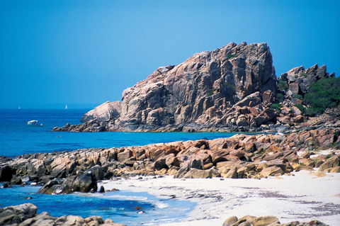 Castle Bay - Accommodation Newcastle 2