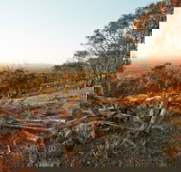 Chick Hill Walk - Accommodation Newcastle