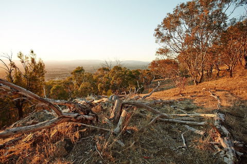 Chick Hill Walk - Accommodation Newcastle 0