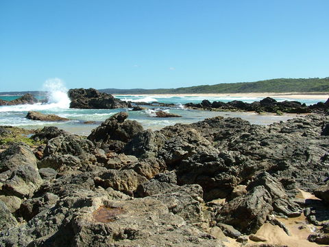 Coastal Walks - Bermagui - Accommodation Newcastle 0
