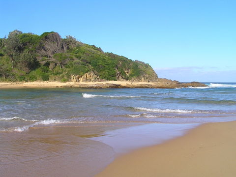 Coastal Walks - Bermagui - Accommodation Newcastle 2