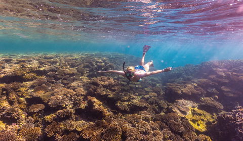 Complete Ningaloo Reef Experience - Accommodation Newcastle 1