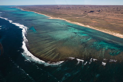 Complete Ningaloo Reef Experience - Accommodation Newcastle 2