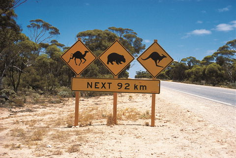 Eyre Highway - Accommodation Newcastle 1