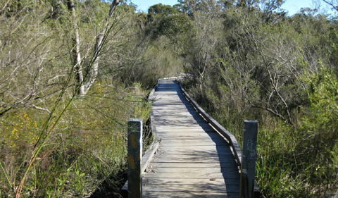 Falcon Crescent Link Track - Accommodation Newcastle 0