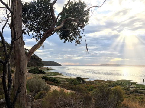 Fish Cannery Walking Trail - Accommodation Newcastle 0