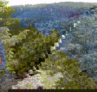 Glenbrook Gorge Track - Accommodation Newcastle