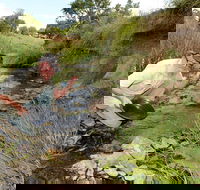 Gold Panning Deep Creek - Accommodation Newcastle
