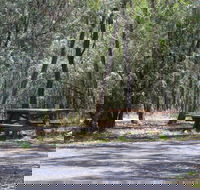 Goonoowigall State Conservation Area - Accommodation Newcastle