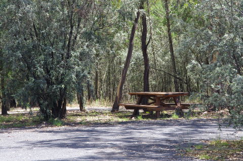 Goonoowigall State Conservation Area - Accommodation Newcastle 0