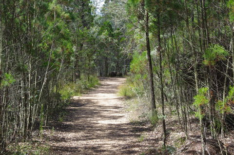 Goonoowigall State Conservation Area - Accommodation Newcastle 1