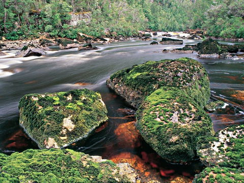 Gordon River - The - Accommodation Newcastle 2