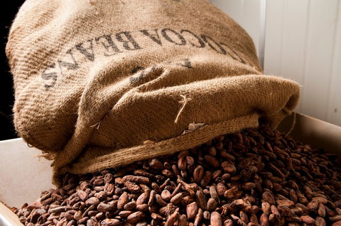 Haigh's Chocolates Visitor Centre - Accommodation Newcastle 2