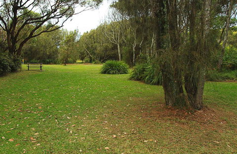 Hammerhead Point Picnic Area - Accommodation Newcastle 0