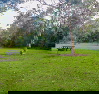 Haynes Flat picnic area - Accommodation Newcastle
