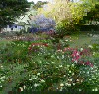 Heysen - The Cedars - Accommodation Newcastle