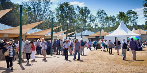 Ivory's Rock Conventions And Events - Accommodation Newcastle 2