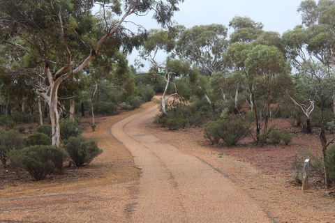 Karlkurla Bushland Park - Accommodation Newcastle 0