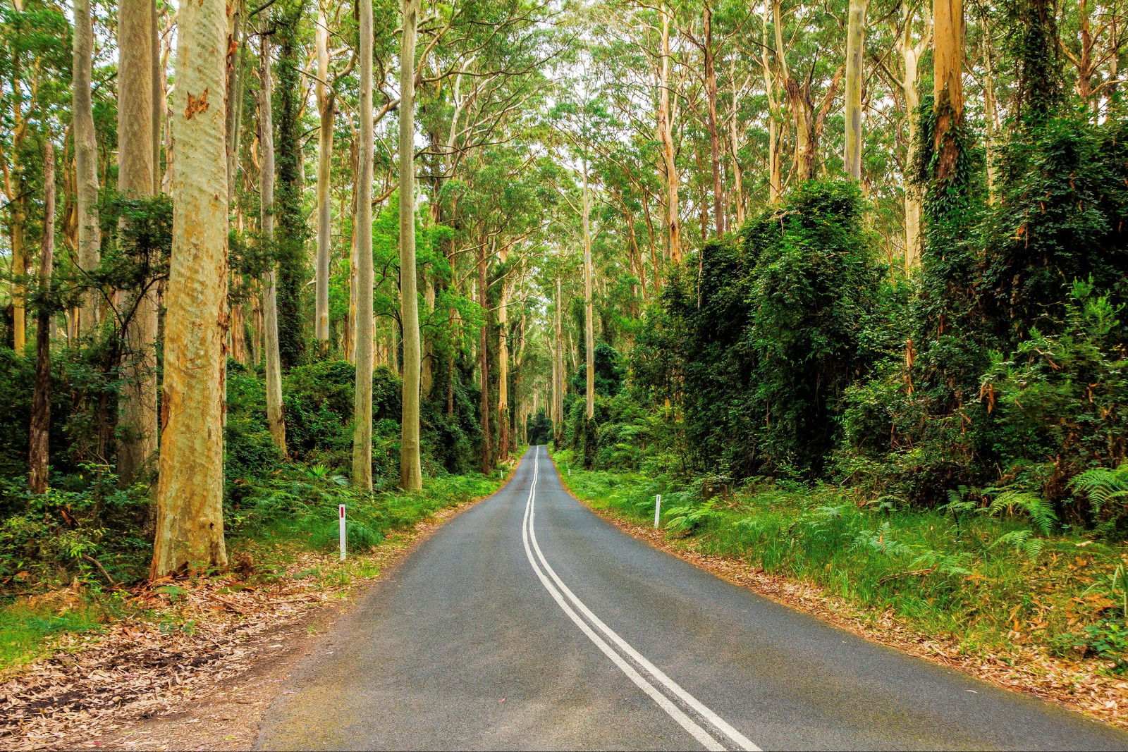 Kioloa NSW Accommodation Newcastle