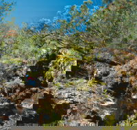 Kroombit Tops National Park