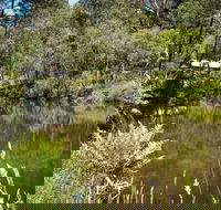 Kurth Kiln Regional Park - Accommodation Newcastle