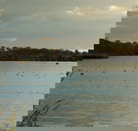 Lake Inverell Reserve - Accommodation Newcastle