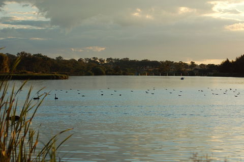 Lake Inverell Reserve - Accommodation Newcastle 0