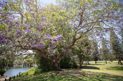 Leis Park - Accommodation Newcastle 0