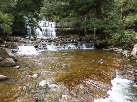 Liffey Falls Reserve - Accommodation Newcastle 1
