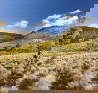 Little Mountain Walking Track - Accommodation Newcastle