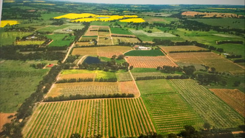 Martin's Orchard - Accommodation Newcastle 2