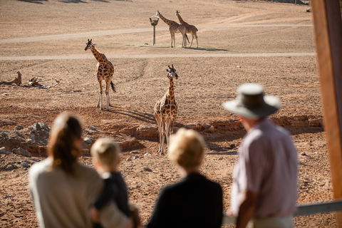 Monarto Safari Park - Accommodation Newcastle 0