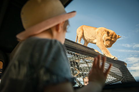 Monarto Safari Park - Accommodation Newcastle 2