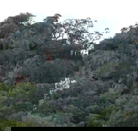 Mount Yarrowyck Nature Reserve - Accommodation Newcastle