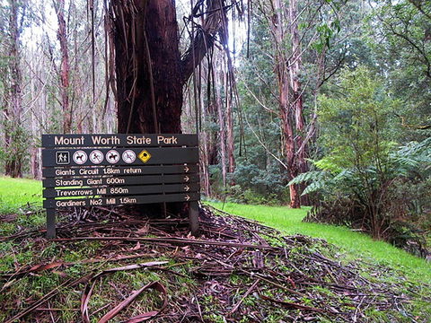 Mount Worth State Park - Accommodation Newcastle 0