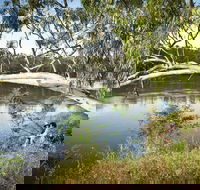 Murray Valley National Park - Accommodation Newcastle