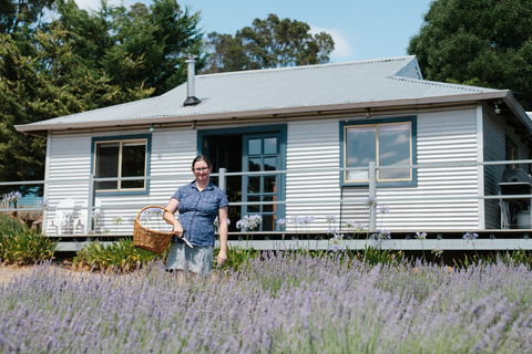 Nannup Lavender Farm - Accommodation Newcastle 1
