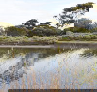 Onkaparinga River Recreation Park - Accommodation Newcastle