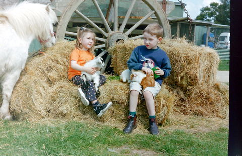 Rain Hayne And Shine Farmyard - Accommodation Newcastle 0