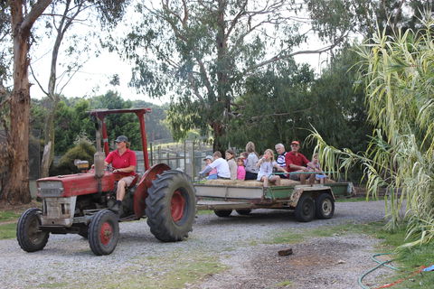 Rain Hayne And Shine Farmyard - Accommodation Newcastle 1