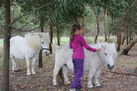 Rain Hayne And Shine Farmyard - Accommodation Newcastle 2